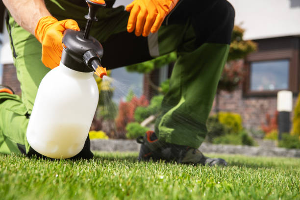 Best Residential Pest Control  in Kingwood, WV