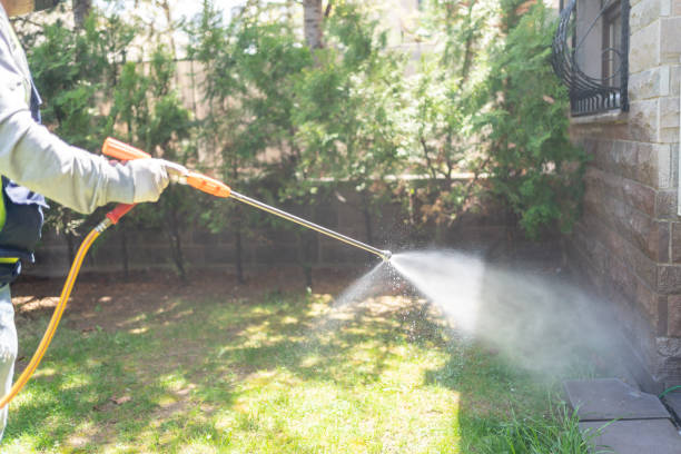 Pest Control Cost in Kingwood, WV